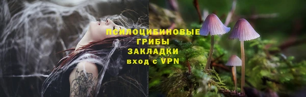 гидра Армянск