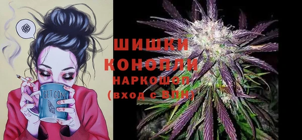гидра Армянск