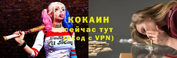 гидра Армянск
