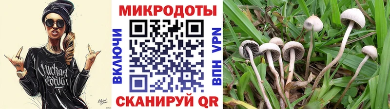цена наркотик  omg ONION  Галлюциногенные грибы прущие грибы  Среднеколымск 